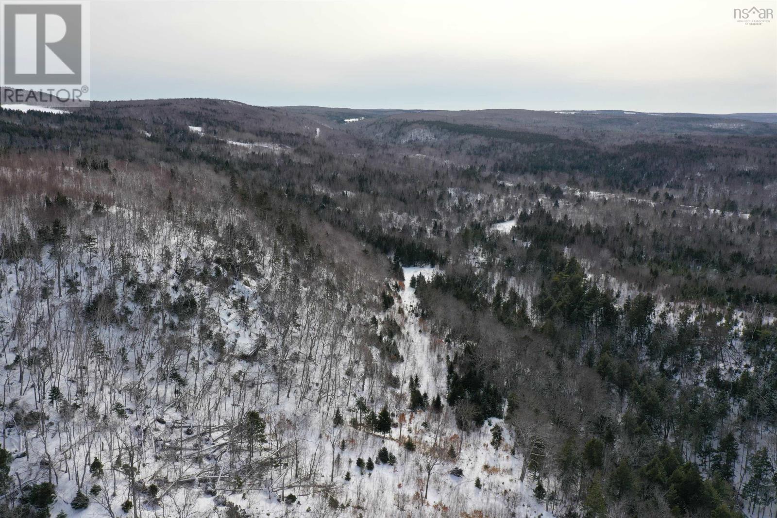 Lot 42 Acres Macgraths Mountain Road, French River, Nova Scotia  B0K 1A0 - Photo 9 - 202503392