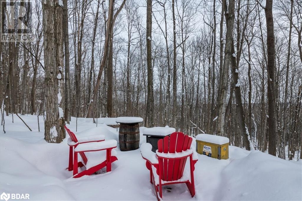 5 Snowshoe Trail, Moonstone, Ontario  L0K 1N0 - Photo 28 - 40693914