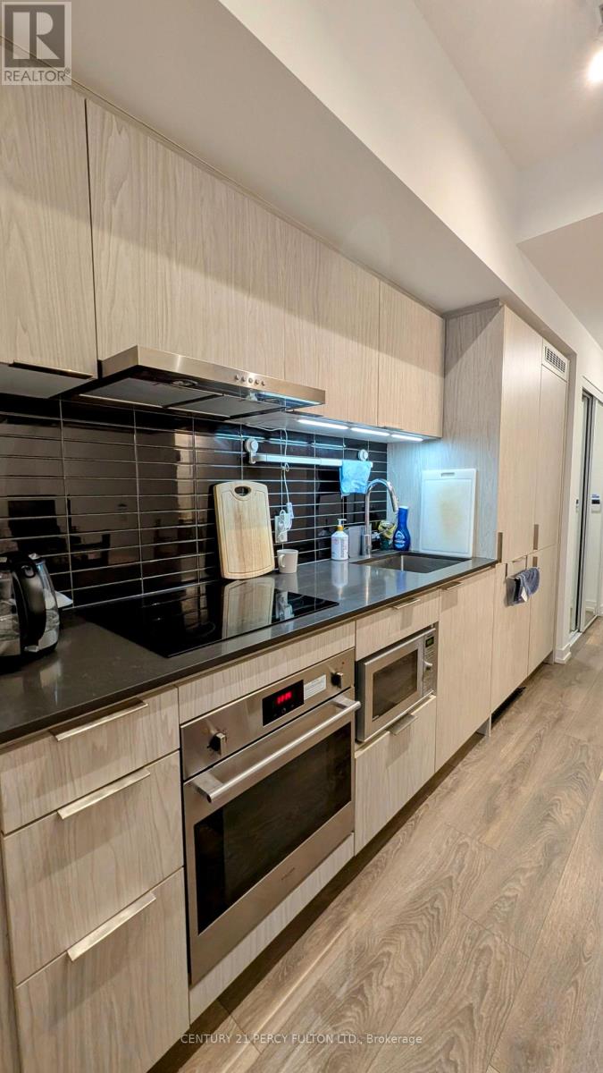 202 - 60 Shuter Street, Toronto, Ontario  M5B 0B7 - Photo 2 - C11984233
