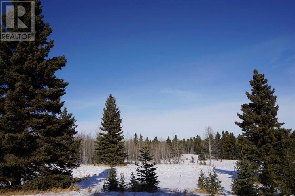 5460 Township Road 301, Rural Mountain View County, Alberta  T0M 2E0 - Photo 47 - A2196509