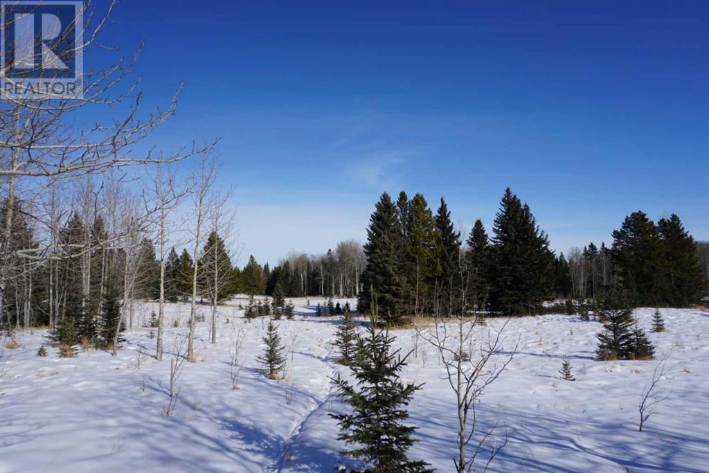 5460 Township Road 301, Rural Mountain View County, Alberta  T0M 2E0 - Photo 50 - A2196509