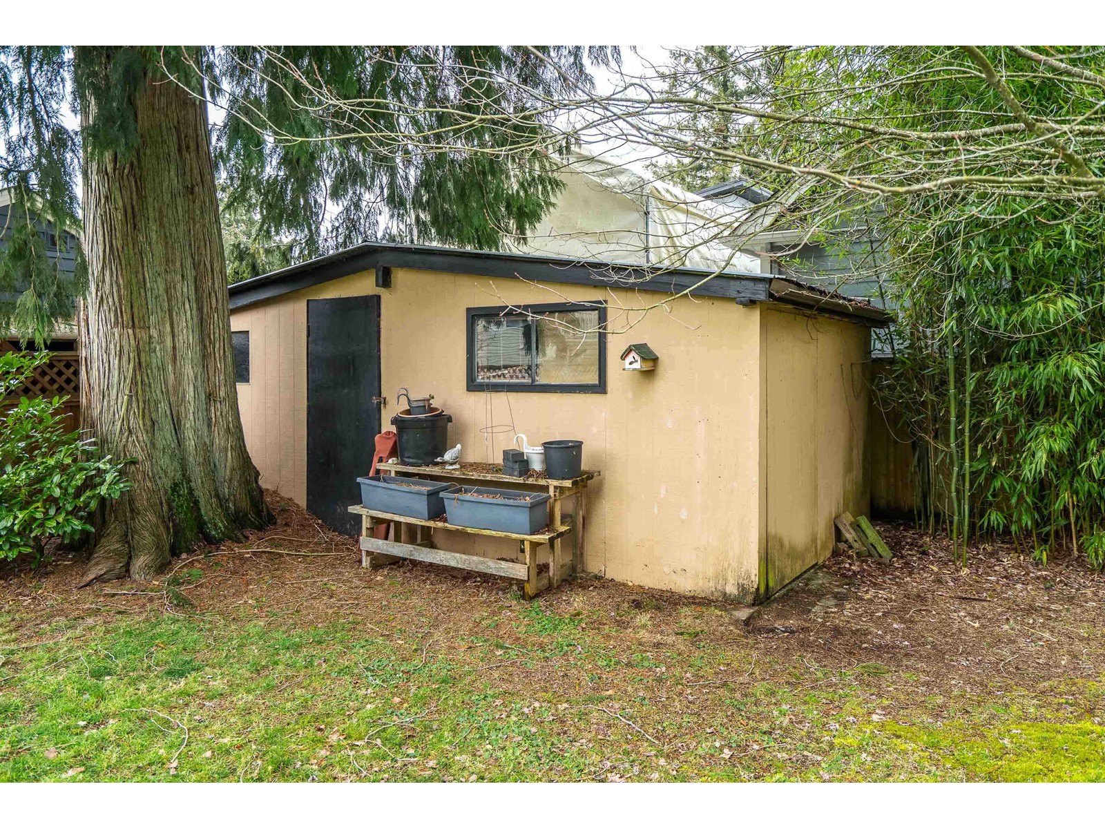 19891 43a Avenue, Langley, British Columbia  V3A 3C3 - Photo 34 - R2969151