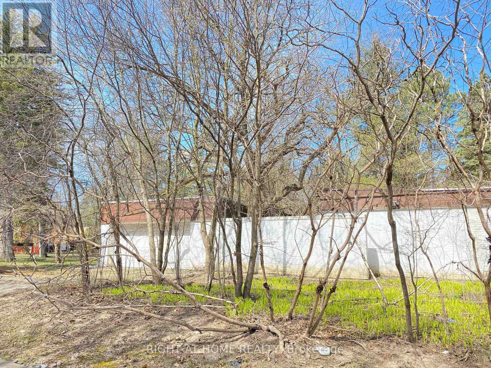 48 The Bridle Path, Toronto, Ontario  M2L 1C8 - Photo 4 - C11984545
