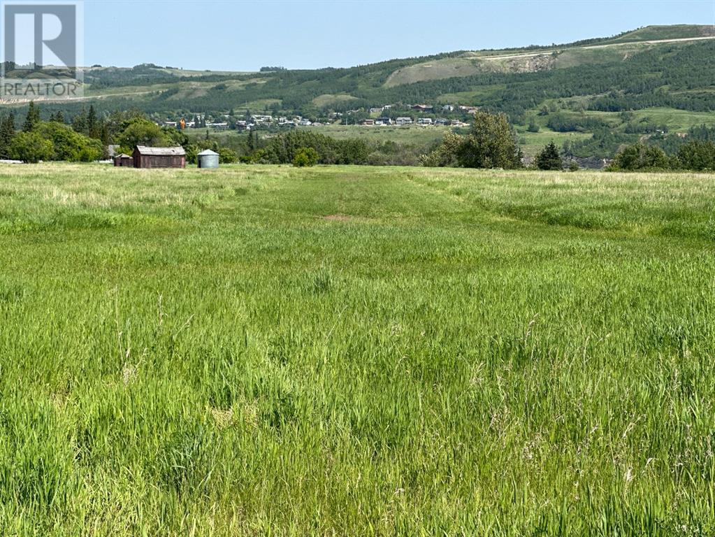 Lot 40, Peace River, Alberta  T8X 1X4 - Photo 5 - A2170785