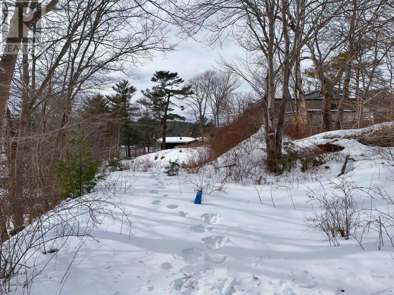 1180 Rockcliffe Street, Halifax, Nova Scotia  B3H 3Y6 - Photo 4 - 202503022