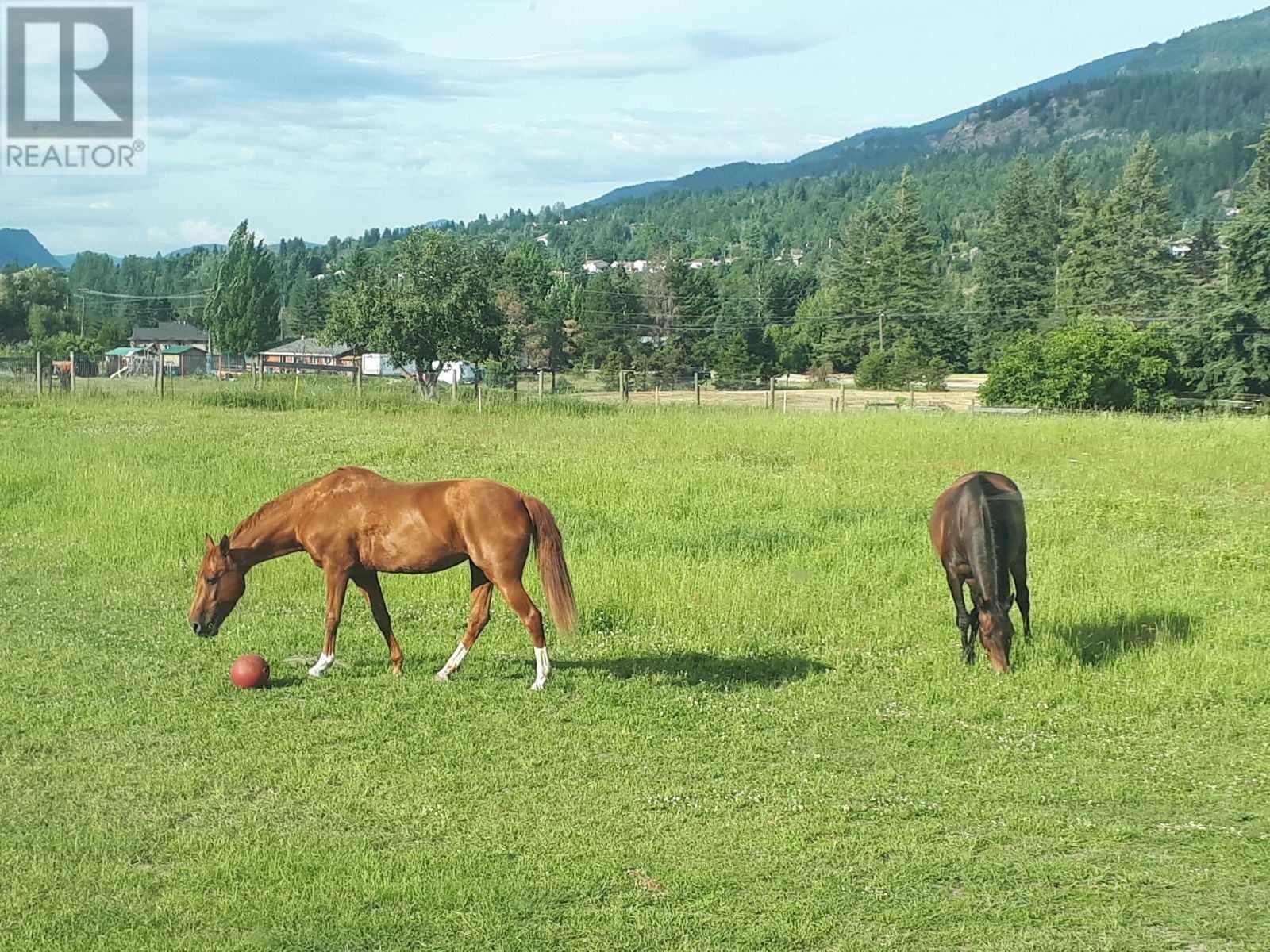 Lot A Bridgeview Road, Ootischenia, British Columbia  V1N 4K8 - Photo 12 - 2479184