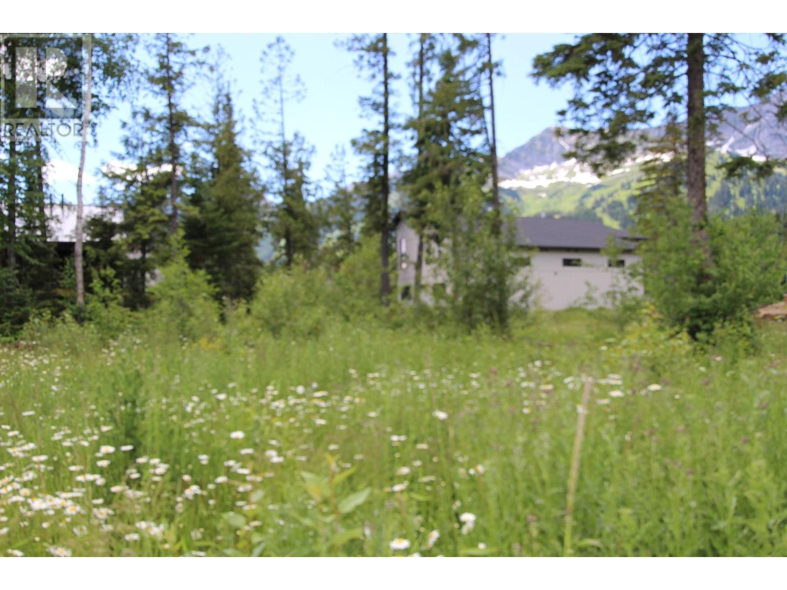 4 Huckleberry Place, Fernie, British Columbia  V0B 1M1 - Photo 5 - 10336250