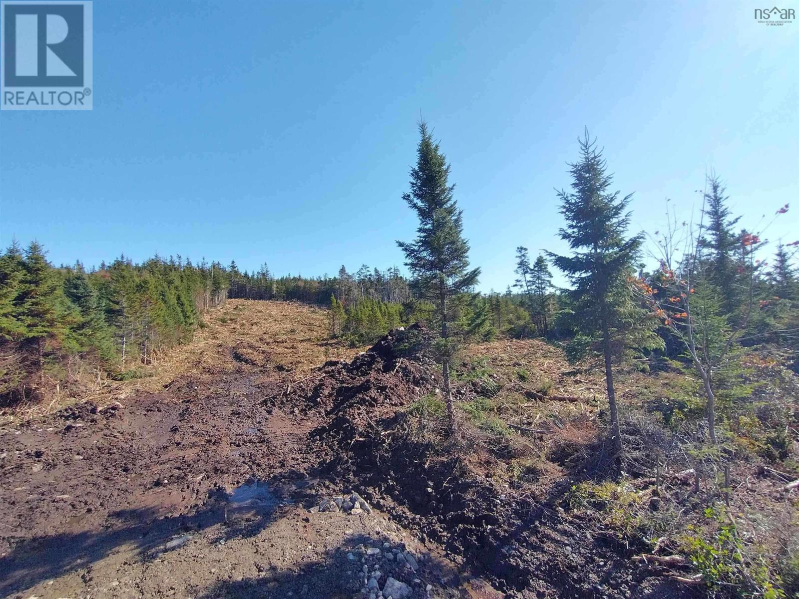 Lot 0 Ostrea Lake Road, Pleasant Point, Nova Scotia  B0J 2L0 - Photo 4 - 202503463
