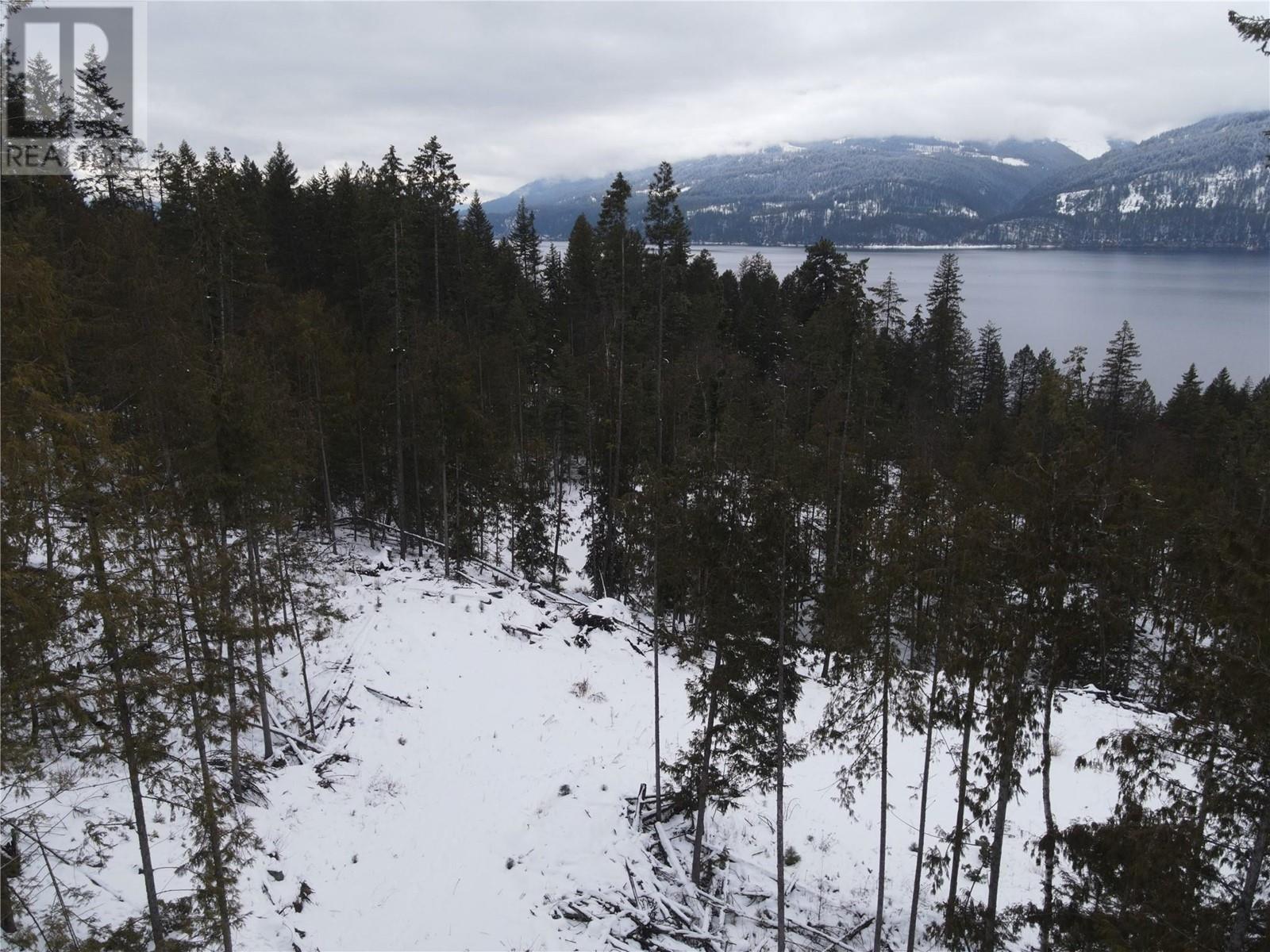 503 Riondel Road, Riondel, British Columbia  V0B 2B0 - Photo 5 - 10336385