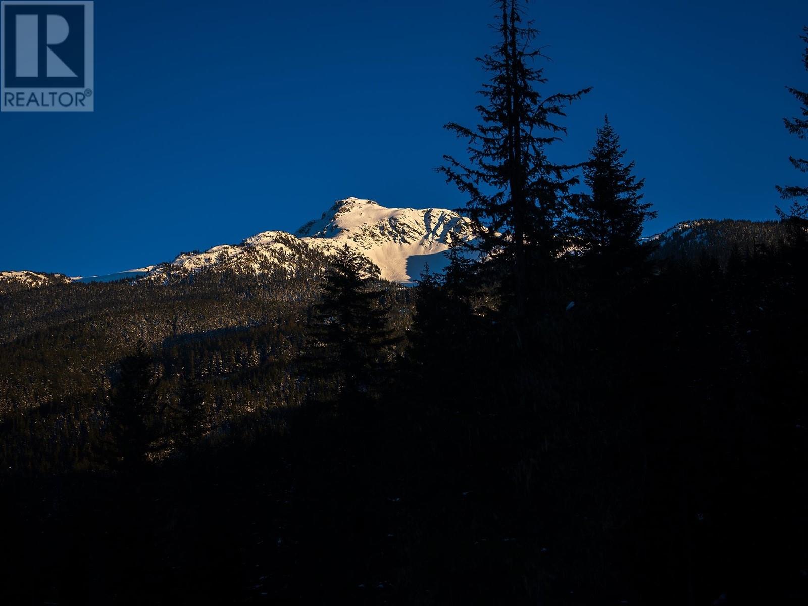 1625 Southlands Lane, Whistler, British Columbia  V8E 0A2 - Photo 9 - R2900295