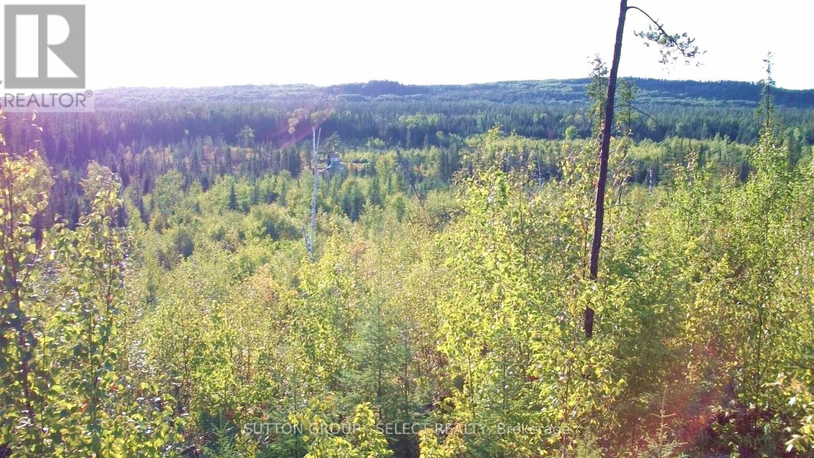 Lot 5 Con 1 Road, Timiskaming Remote Area, Ontario  P0J 1M0 - Photo 8 - T9376320