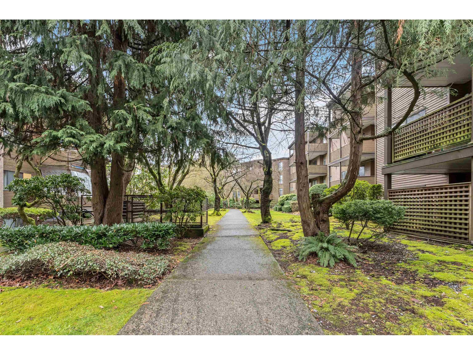 204 10680 151a Street, Surrey, British Columbia  V3R 8T4 - Photo 32 - R2969195