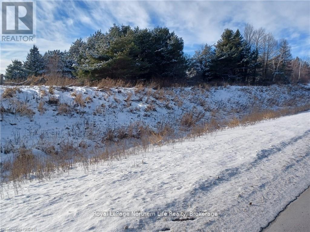 Property at 1687 HIGHWAY 11 N image 4