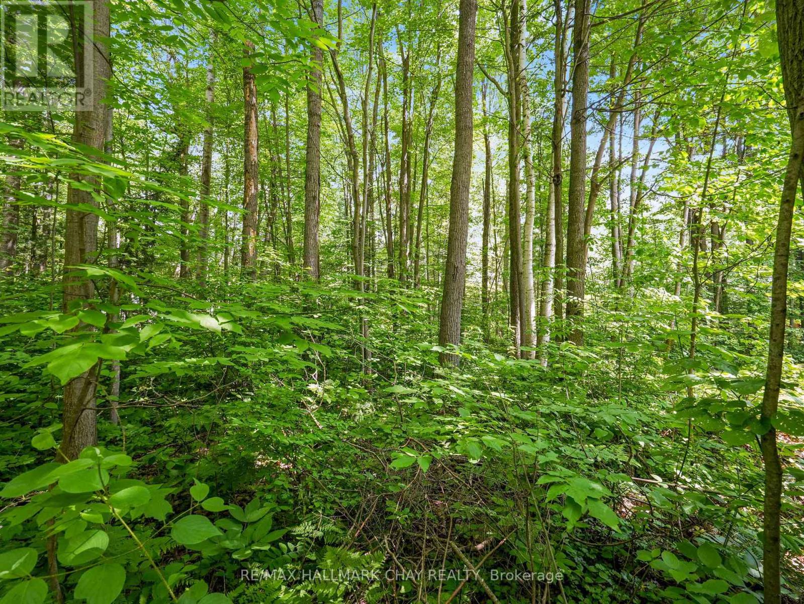 2 Trillium Trail, Adjala-Tosorontio, Ontario  L0M 1J0 - Photo 32 - N11953852