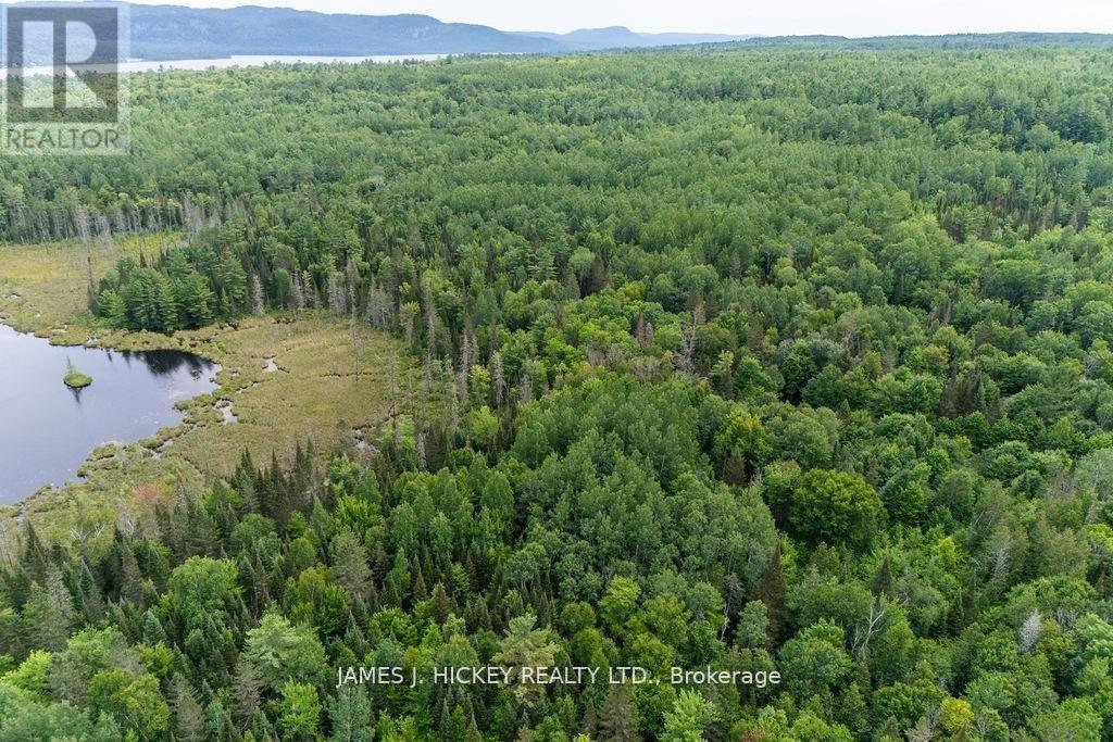 0 Highway 17 Highway, Deep River, Ontario  K0J 1P0 - Photo 5 - X11986187