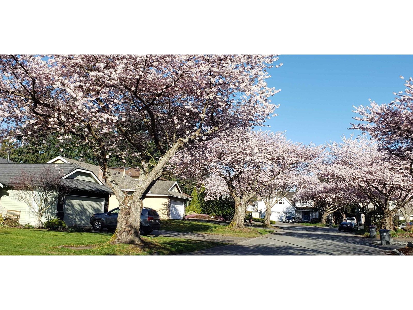 12926 19 Avenue, Surrey, British Columbia  V4A 8K7 - Photo 39 - R2969959