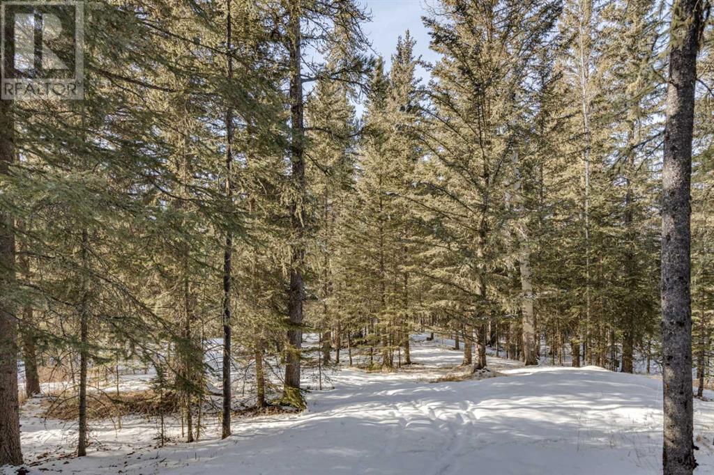 231057 Range Rd 54, Bragg Creek, Alberta  T0L 0K0 - Photo 22 - A2195741