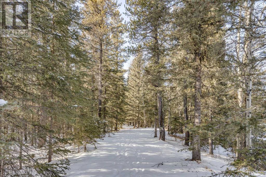 231057 Range Rd 54, Bragg Creek, Alberta  T0L 0K0 - Photo 21 - A2195741