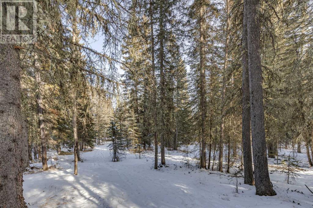 231057 Range Rd 54, Bragg Creek, Alberta  T0L 0K0 - Photo 17 - A2195741