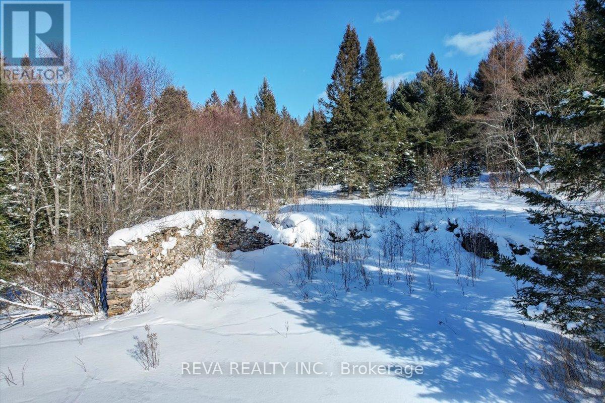 351 Deer Lake Road, Perry, Ontario  P0A 1J0 - Photo 32 - X11986429