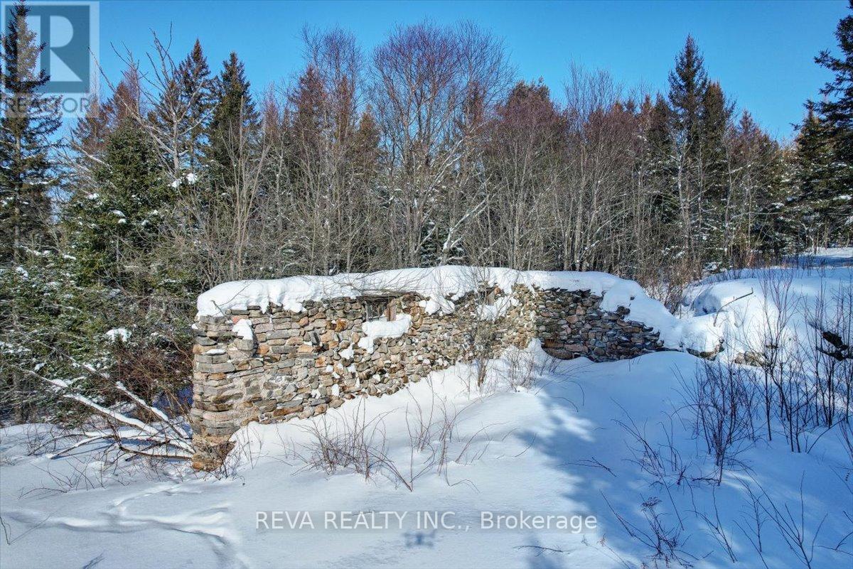 351 Deer Lake Road, Perry, Ontario  P0A 1J0 - Photo 33 - X11986429