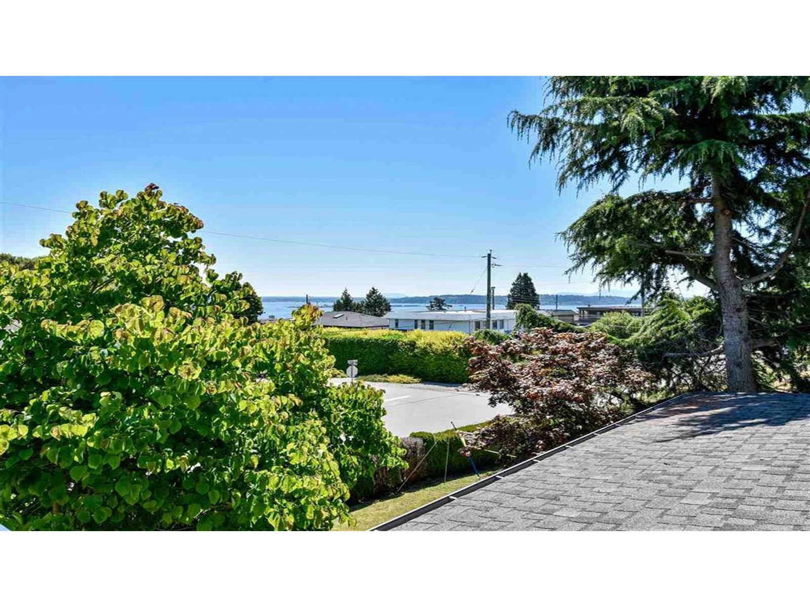 Property at 1121 CYPRESS STREET image 3