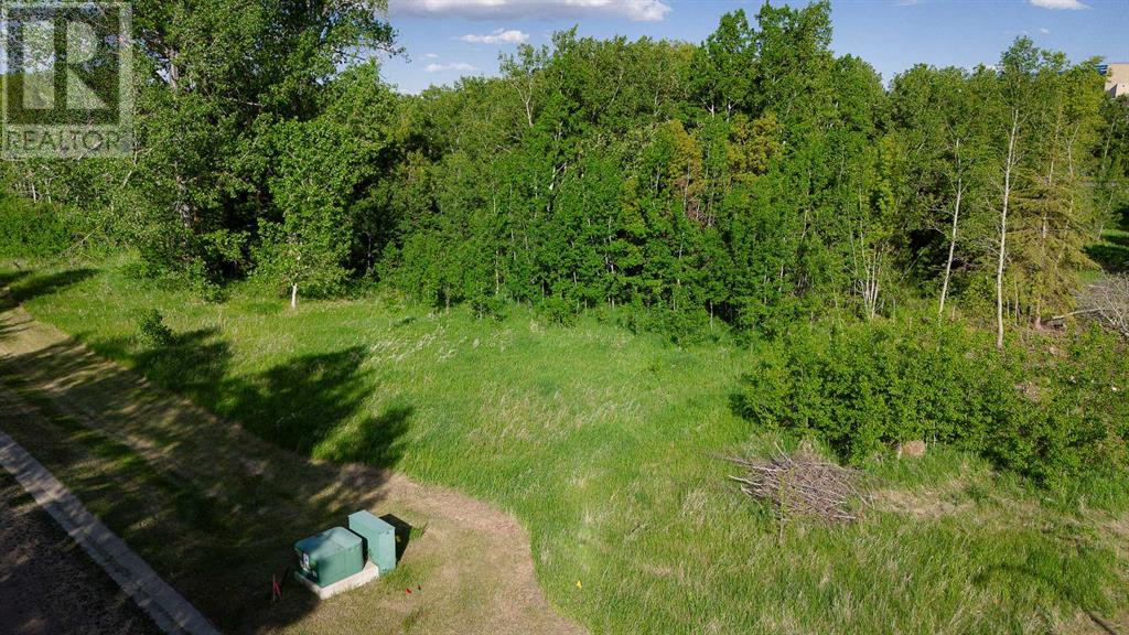 Lot 4 44 Avenueclose, Alix, Alberta  T0C 0B0 - Photo 6 - A2106667