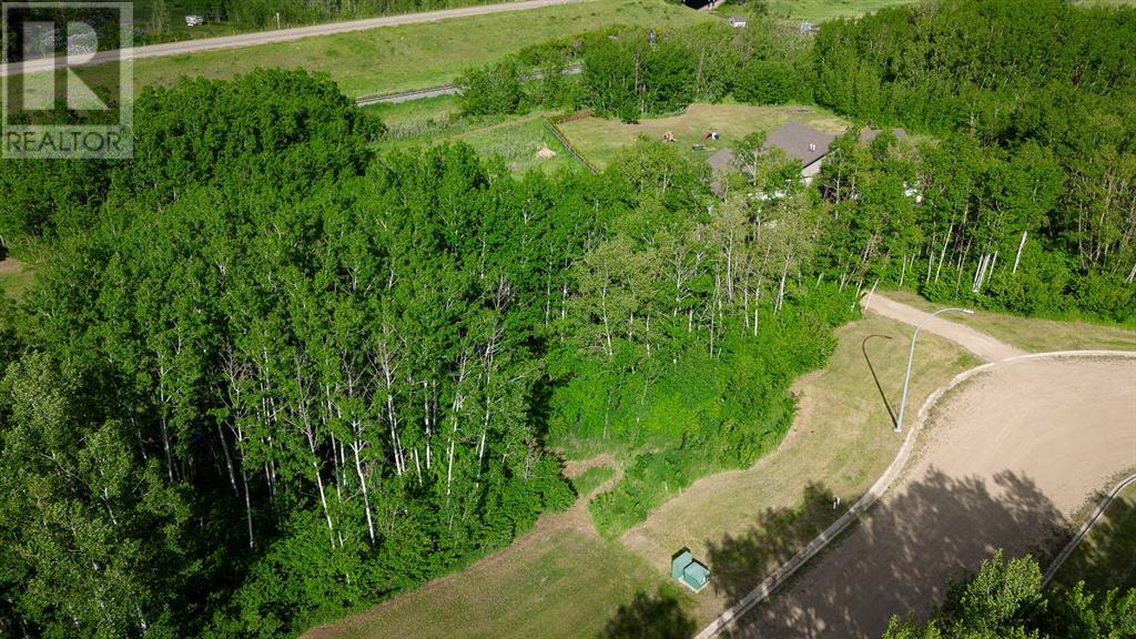 Lot 4 44 Avenueclose, Alix, Alberta  T0C 0B0 - Photo 5 - A2106667