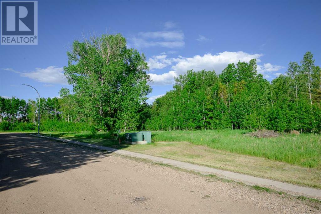 Lot 4 44 Avenueclose, Alix, Alberta  T0C 0B0 - Photo 3 - A2106667