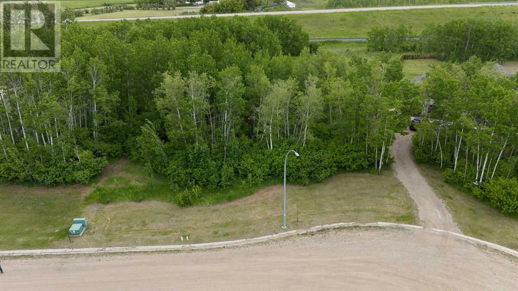 Lot 8 44 Avenueclose, Alix, Alberta  T0C 0B0 - Photo 5 - A2106672