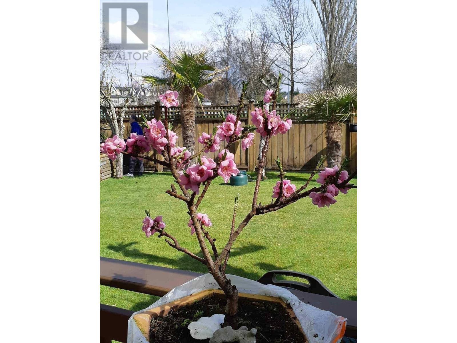 Listing Picture 33 of 38 : 6591 SWIFT AVENUE, Richmond / 烈治文 - 魯藝地產 Yvonne Lu Group - MLS Medallion Club Member