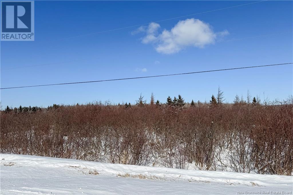 Lot 94-13 Route 960, Upper Cape, New Brunswick  E4M 2T8 - Photo 5 - NB112615