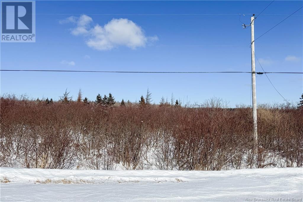 Lot 94-13 Route 960, Upper Cape, New Brunswick  E4M 2T8 - Photo 4 - NB112615