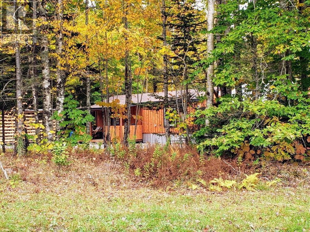 1110 Margo Road, Belliveaus Cove, Nova Scotia  B0W 1M0 - Photo 8 - 202427768