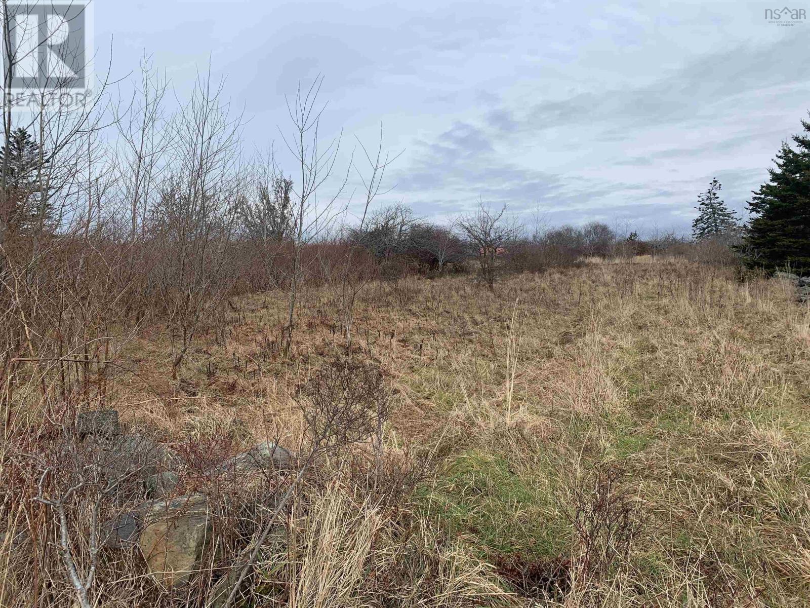 South East Street, Yarmouth, Nova Scotia  B5A 3R1 - Photo 2 - 202115028