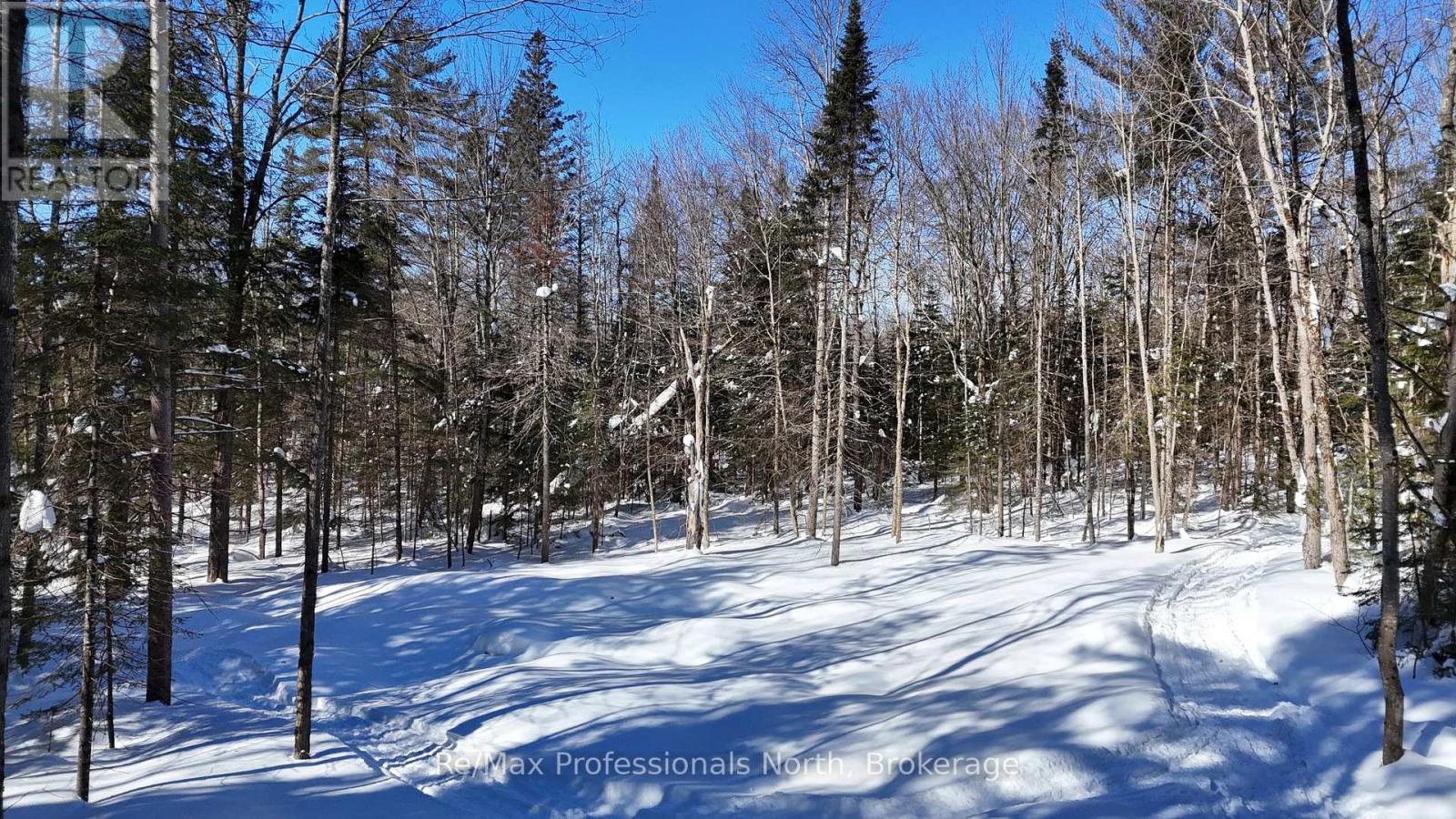 1066 Uffington Road, Bracebridge, Ontario  P1L 1X1 - Photo 7 - X11987050