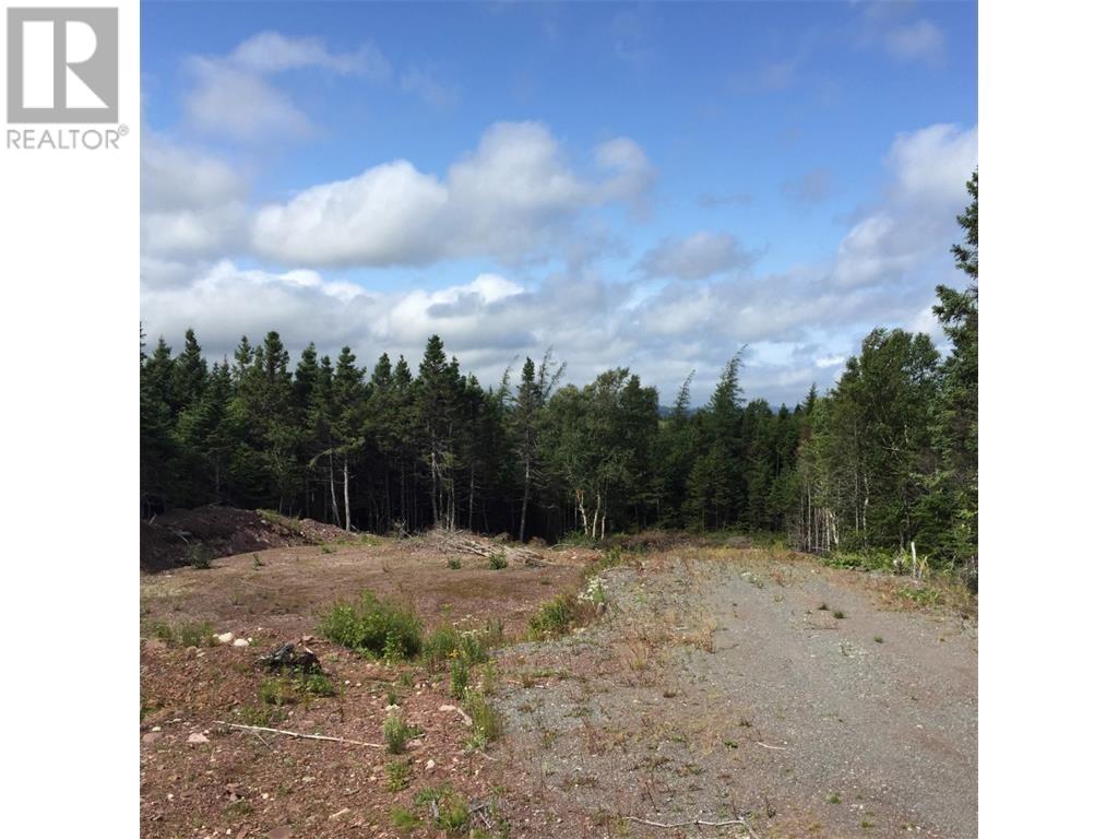118B Main Road, BELLEVUE, Newfoundland & Labrador