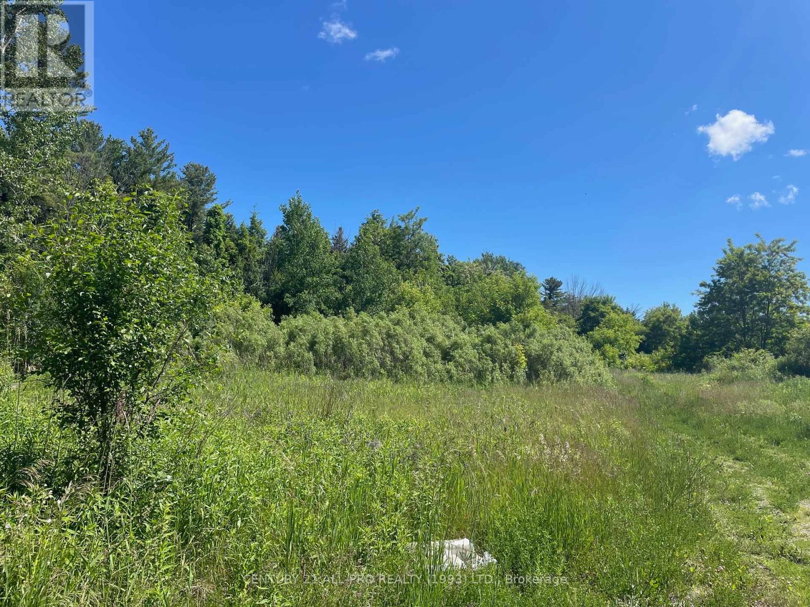 Pt Lt 9 Workman Road, Cobourg, Ontario  K9A 4J8 - Photo 5 - X11987510