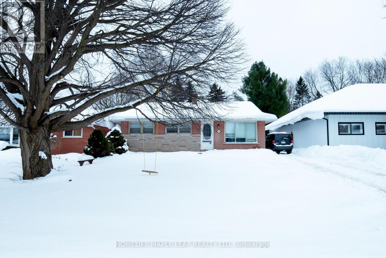 Property at 206 ELIZABETH STREET image 1