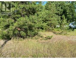 Lot 3 ODE Road, christina lake, British Columbia