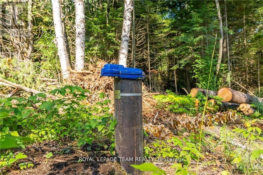 Lot 17 Bark Bay Trail, Madawaska Valley, Ontario  K0J 1B0 - Photo 10 - X11987649