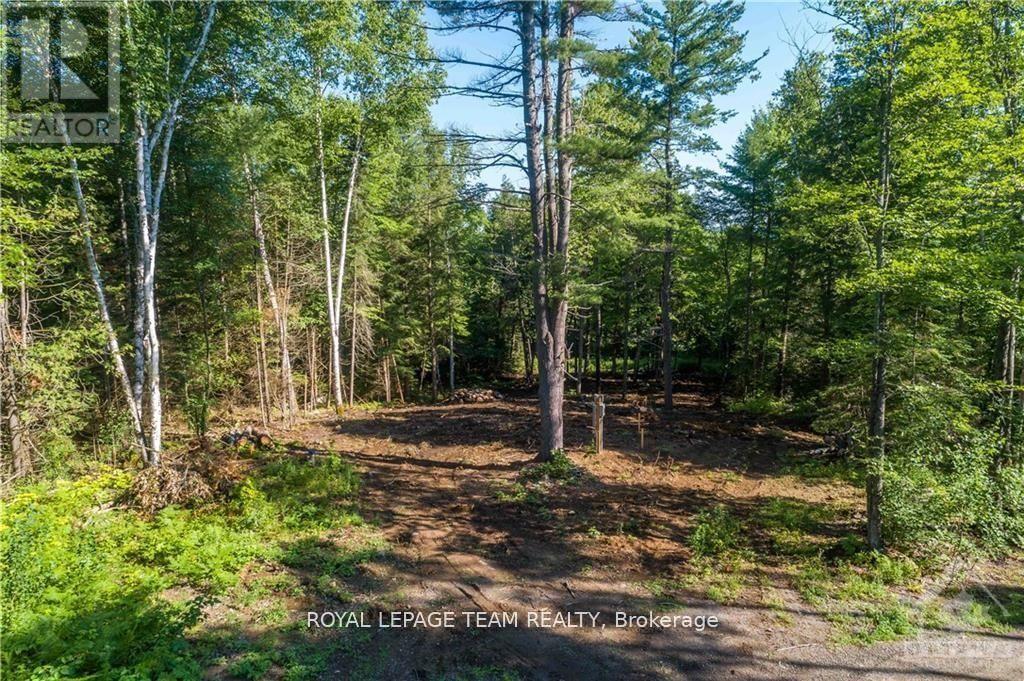 Lot 17 Bark Bay Trail, Madawaska Valley, Ontario  K0J 1B0 - Photo 9 - X11987649