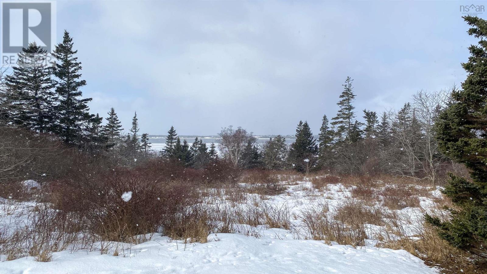 1531 Highway 3, East Pubnico, Nova Scotia  B0W 2A0 - Photo 15 - 202503548