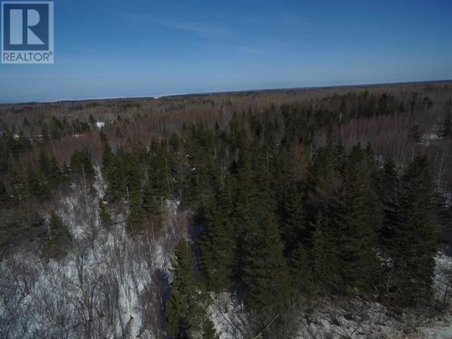 Centerline Road, St. Lawrence, Prince Edward Island  C0B 1Z0 - Photo 4 - 202503556