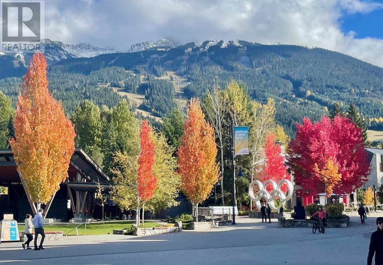 Wk 10 219-4338 Main Street, Whistler, British Columbia  V8E 1B4 - Photo 16 - R2967213