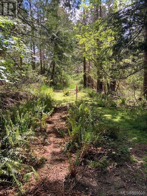 Lot 5 Robinson Rd, Salt Spring, British Columbia  V8K 1P7 - Photo 17 - 989000