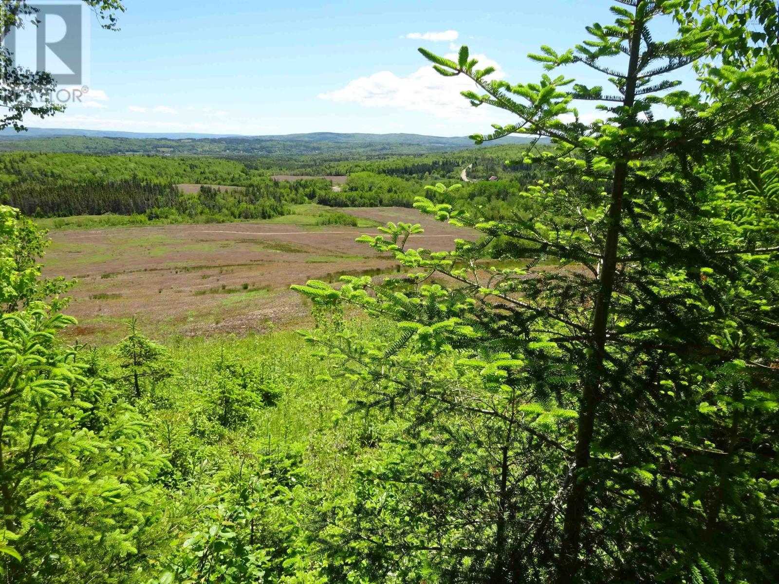 760 Foot Cape Road, Broad Cove Banks, Nova Scotia  B0E 1N0 - Photo 19 - 202503562