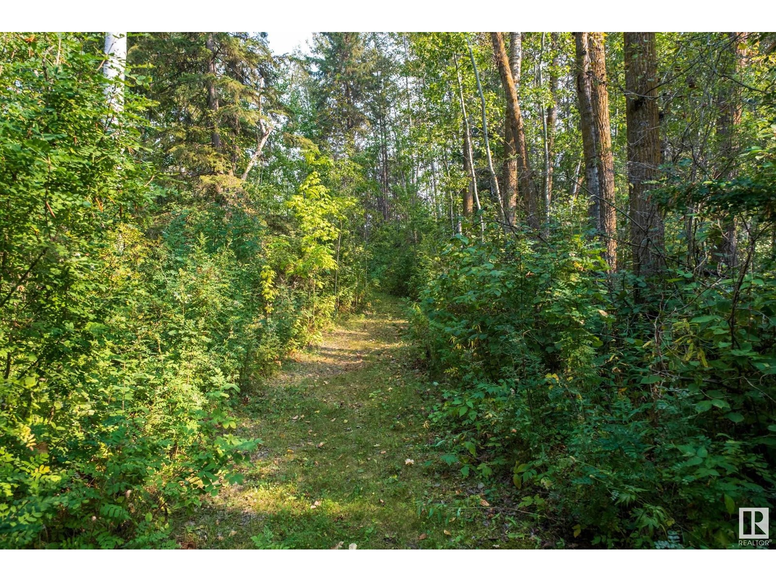 2063 Spruce Cres, Rural Parkland County, Alberta  T7Z 2V3 - Photo 36 - E4422858