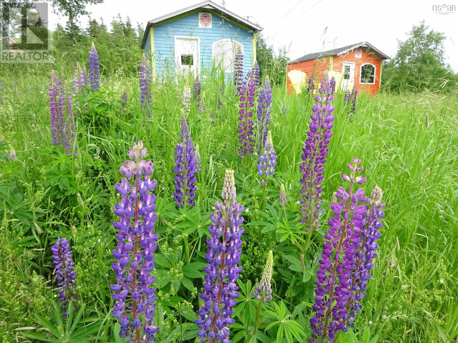 760 Foot Cape Road, Broad Cove Banks, Nova Scotia  B0E 1N0 - Photo 11 - 202503563