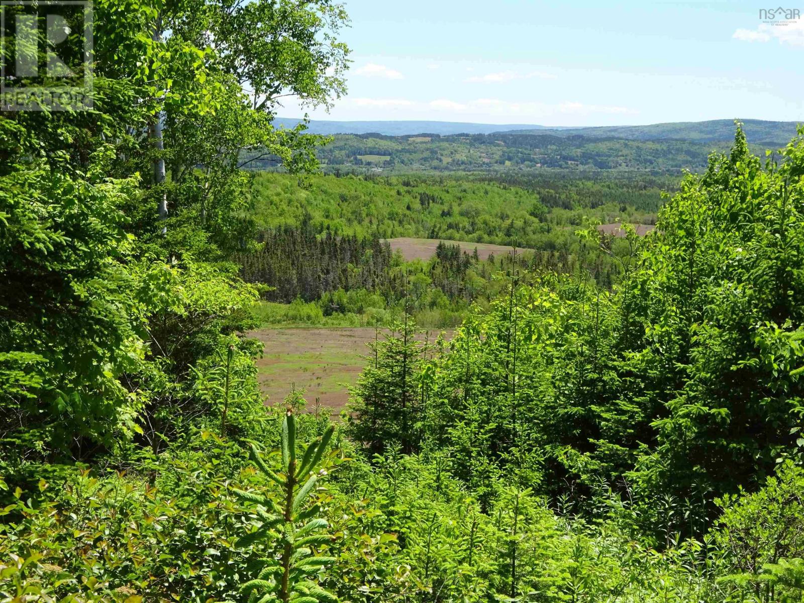760 Foot Cape Road, Broad Cove Banks, Nova Scotia  B0E 1N0 - Photo 19 - 202503563